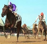 Stormy Pick Wires Field for Spinaway Victory Stormy Pick Wires Field for Spinaway Victory