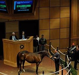 Better Than Honour Brings $14 Million Better Than Honour Brings $14 Million