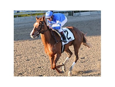 Flashing goes gate-to-wire in the Gazelle.<br><a target="blank" href="http://www.bloodhorse.com/horse-racing/photo-store?ref=http%3A%2F%2Fpictopia.com%2Fperl%2Fgal%3Fprovider_id%3D368%26ptp_photo_id%3D8659019%26ref%3Dstory">Order This Photo</a>
