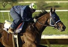 Balance Brings Impressive Record Into Ashland Balance Brings Impressive Record Into Ashland