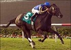 With No Arravale, Virginia Plain Has Upset Chance With No Arravale, Virginia Plain Has Upset Chance