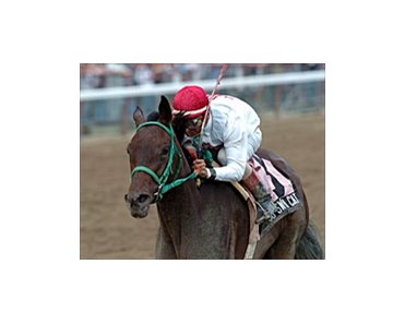 So Sweet a Cat runs away with the New York Stallions Stakes for 3-year-old fillies at Saratoga Race Course Thursday.