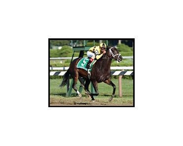Summer Colony rolls to victory in the Personal Ensign.