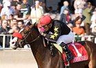 Recapturetheglory will be back in action on February 15.