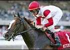 Turf Star Kitten's Joy Nominated to Lane's End and Blue Grass Turf Star Kitten's Joy Nominated to Lane's End and Blue Grass