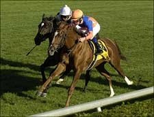 Gorella Holds Off Karen's Caper in First Lady Gorella Holds Off Karen's Caper in First Lady