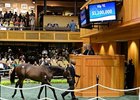 F-T Saratoga Sale Opens With Price Declines F-T Saratoga Sale Opens With Price Declines