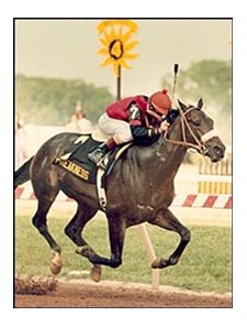 Aloma's Ruler, winning the 1982 Preakness Stakes.
