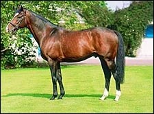 Sadler's Wells Captures Record 13th Consecutive Sire Title Sadler's Wells Captures Record 13th Consecutive Sire Title