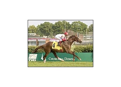 Firecracker Breeders' Cup 'Cap winner Kitten's Joy looks to keep winning in Saturday's Arlington Million.