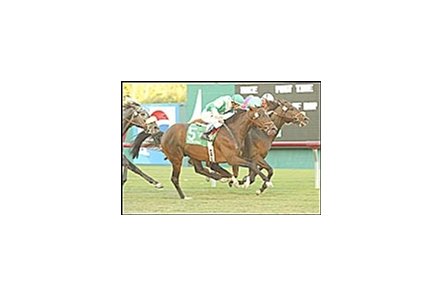 Epicentre, right, outfinishes stablemate Continuously, but was disqualied from first for interference in the Hollywood Turf Cup.