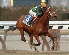Bohemian Lady Romps to Cicada Triumph Bohemian Lady Romps to Cicada Triumph