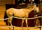 Colt; Unbridled's Song - King Shooting Star by Storm Cat brought $475,000 to top the sale.