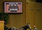 Keeneland Sale Continues Downward Spiral Keeneland Sale Continues Downward Spiral