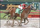 Newfoundland, winning the Canadian Turf Handicap.
