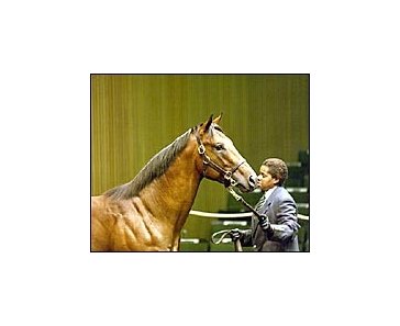 Danzig colt, topped Monday's Keeneland sale session.