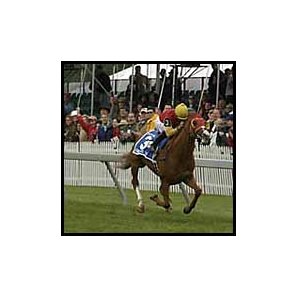 Strut the Stage struts his stuff in the Dixie Handicap.