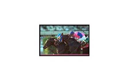 Del Mar Show, outside, passes North East Bound and TV Sports Director, partially seen inside, to win the Fort Lauderdale Handicap.