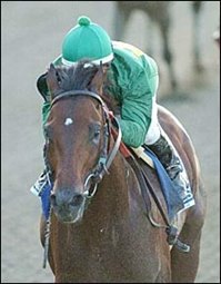 Mineshaft Makes Case in JC Gold Cup; May Be Retired Mineshaft Makes Case in JC Gold Cup; May Be Retired