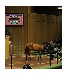 Keeneland September Sale