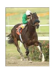 Star Parade wins the Bayakoa Handicap, Sunday at Hollywood Park.