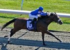 Hatta Fort takes the Perryville under Julien Leparoux.