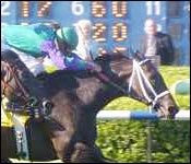 Candid Glen (84-1) Shocking in Explosive Bid Candid Glen (84-1) Shocking in Explosive Bid