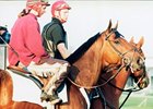 Victory Gallop