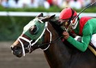 King of the Roxy Returning to Racing King of the Roxy Returning to Racing