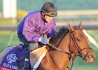 Dubawi Heights jogging at Churchill Downs 11/2/2011.
<br><a target="blank" href="http://www.bloodhorse.com/horse-racing/photo-store?ref=http%3A%2F%2Fpictopia.com%2Fperl%2Fgal%3Fprovider_id%3D368%26ptp_photo_id%3D9727226%26ref%3Dstory">Order This Photo</a>