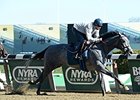 'Company' No Issue for El Kabeir in Workout 'Company' No Issue for El Kabeir in Workout