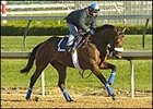 High Limit, Louisiana Derby winner trained by Bobby Frankel.