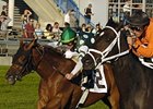 Quietly Mine (left) seeks his first graded stakes win in the Turf Express Handicap.