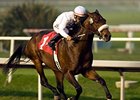 Colonel John runs away with the Real Quiet.<br><a target="blank" href="http://www.bloodhorse.com/horse-racing/photo-store?ref=http%3A%2F%2Fpictopia.com%2Fperl%2Fgal%3Fprovider_id%3D368%26ptp_photo_id%3D2810648%26ref%3Dstory">Order This Photo</a>