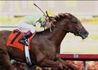 Strong Contender scored second straight victory in this late February Gulfstream allowance win.