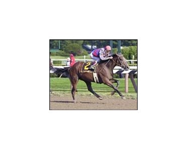 Serra Lake posted an upset victory in the Go For Wand Stakes.