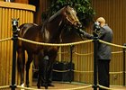 At Keeneland: Good Horses = Good Money At Keeneland: Good Horses = Good Money