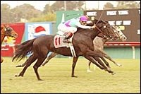 Heat Haze Wins in Scorching Matriarch Drive Heat Haze Wins in Scorching Matriarch Drive