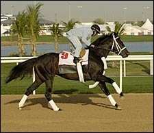 Pletcher Looking for First World Cup Win Pletcher Looking for First World Cup Win