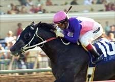 T.H. Approval Retired with Sesamoid Injury T.H. Approval Retired with Sesamoid Injury