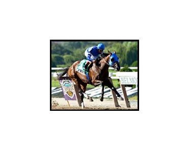 Imperial Gesture cruises to victory in the Gazelle.