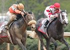 Ky. Derby Trail: Old Fashioned Blunder Ky. Derby Trail: Old Fashioned Blunder