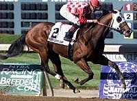 Caller One Best in Kentucky Cup Sprint Caller One Best in Kentucky Cup Sprint