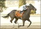 Silver Minister scores Battaglia win, Saturday at Turfway.