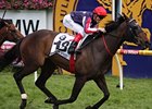 Southern Speed Solid Winner of Caulfield Cup Southern Speed Solid Winner of Caulfield Cup