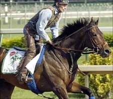 Steve Haskin's Derby Analysis: A. P. Exclusive Steve Haskin's Derby Analysis: A. P. Exclusive