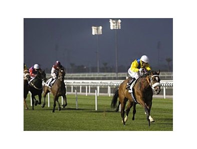 Racing on the turf at Meydan.