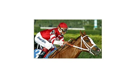 Wynn Dot Comma races to the win in the Swale Stakes.