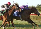 Twilight Meteor holds off Rahy's Attorney to win the Tropical Turf Handicap.