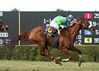 Redaspen cruises to victory in the La Prevoyante.